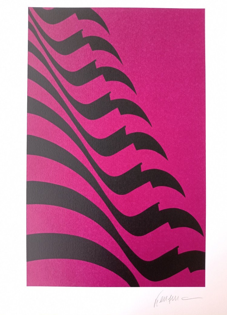Kleber Ventura - Bandeira pink