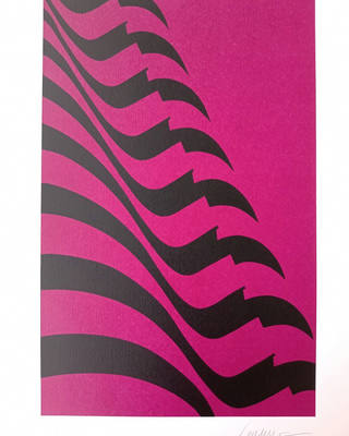 Kleber Ventura - Bandeira pink