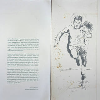 Rubens Gerchman - Pelé