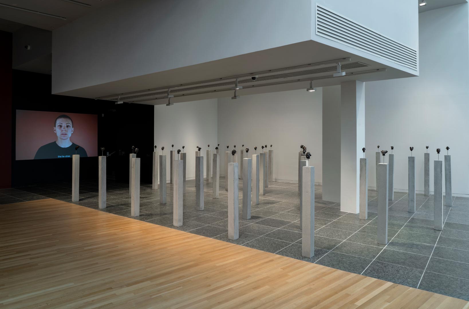 Carlos Motta - Vista da exposição