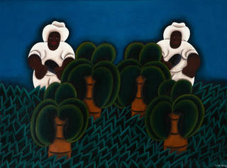 José Sabóia - Colheita