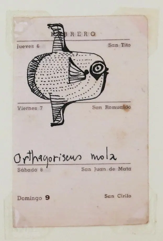 Aldemir Martins - Peixe - Déc 50