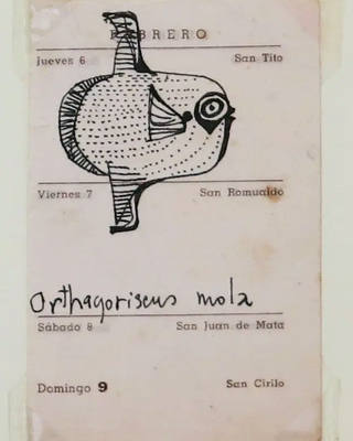 Aldemir Martins - Peixe - Déc 50