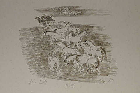 Cavalos