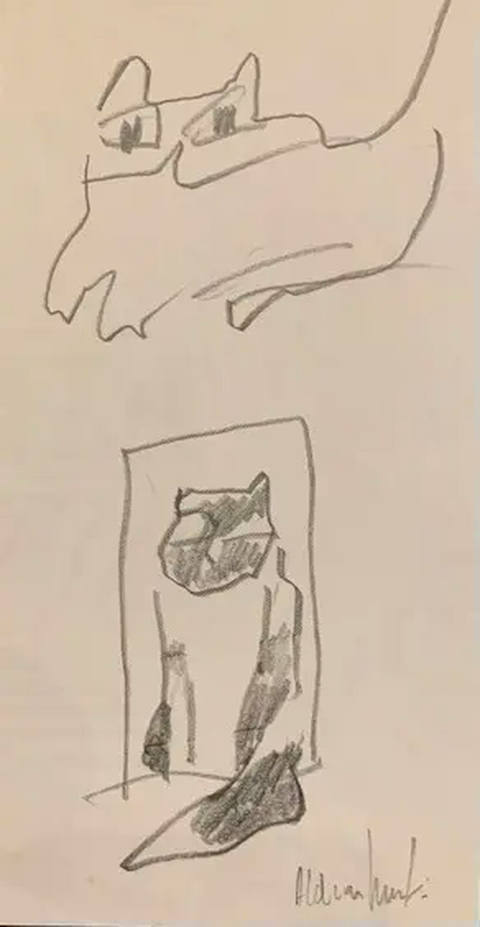 Gatos