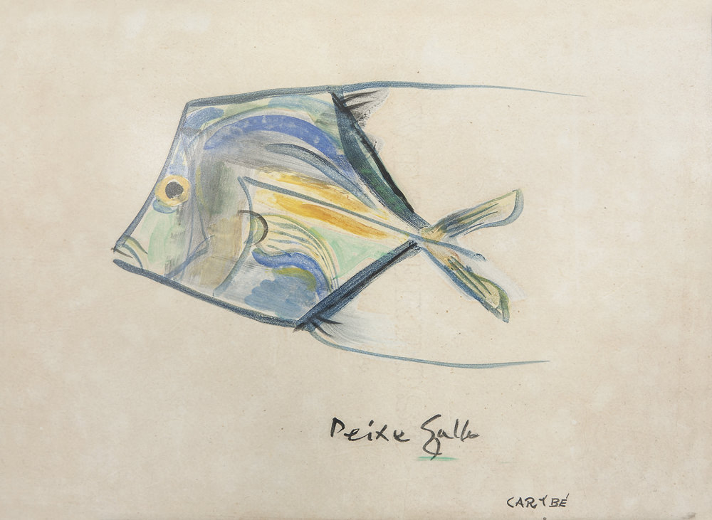 Peixe Gallo