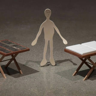 Cildo Meireles - Camelô