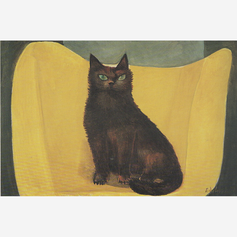 Gato no sofá