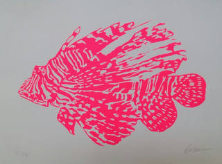 Kleber Ventura - Peixe Rosa