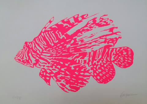Peixe Rosa