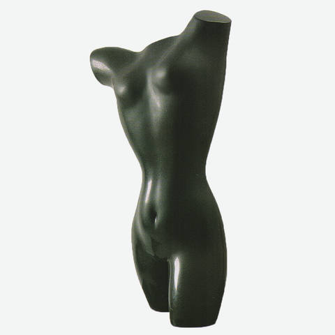 Torso