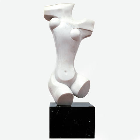 Torso