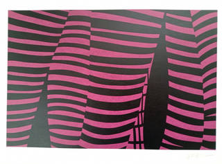 Kleber Ventura - Perna Pink