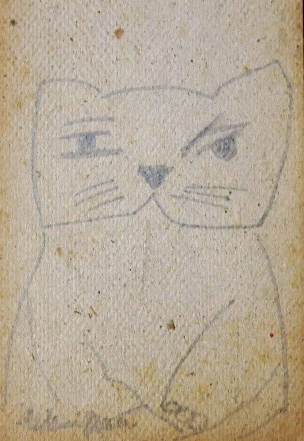 Gato