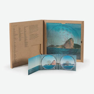 Cildo Meireles - Rio Oir