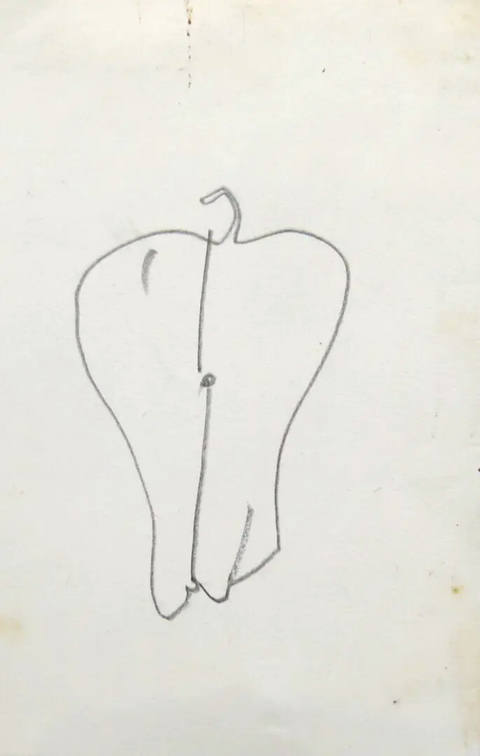 Fruta