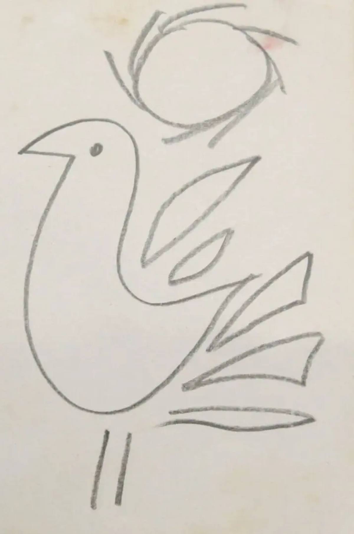 Pássaro