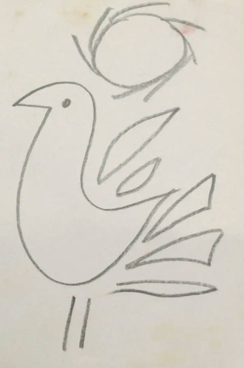 Pássaro