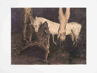 Cildo Meireles - Sem título