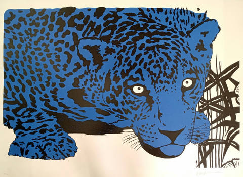 Onça Azul