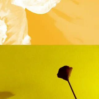 Nato Gomes - Diálogo com as Sombras I