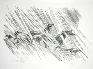 Lívio Abramo - Cavalos