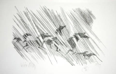 Cavalos