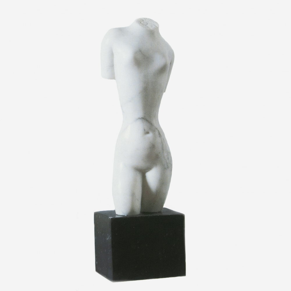 Torso