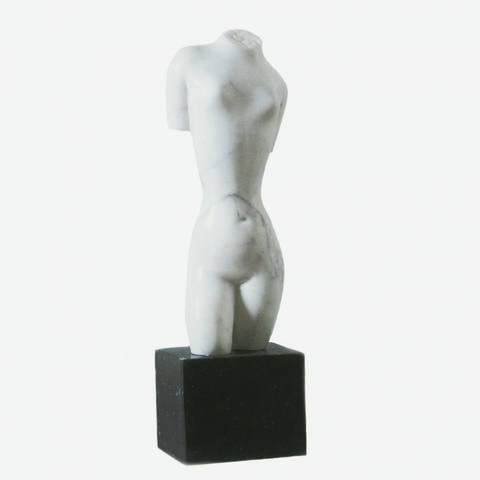 Torso