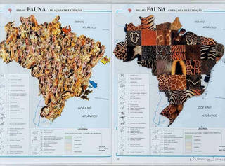 Nelson Leirner - Fauna Brasileira
