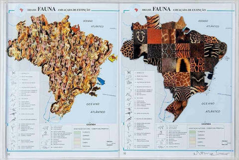 Fauna Brasileira