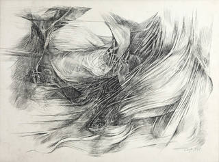 Roberto Burle Marx - Abstrato
