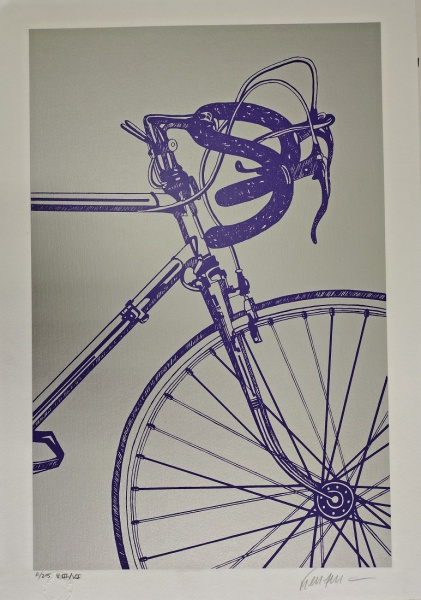Bicicleta Roxa