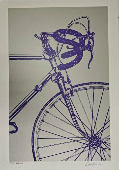 Bicicleta Roxa