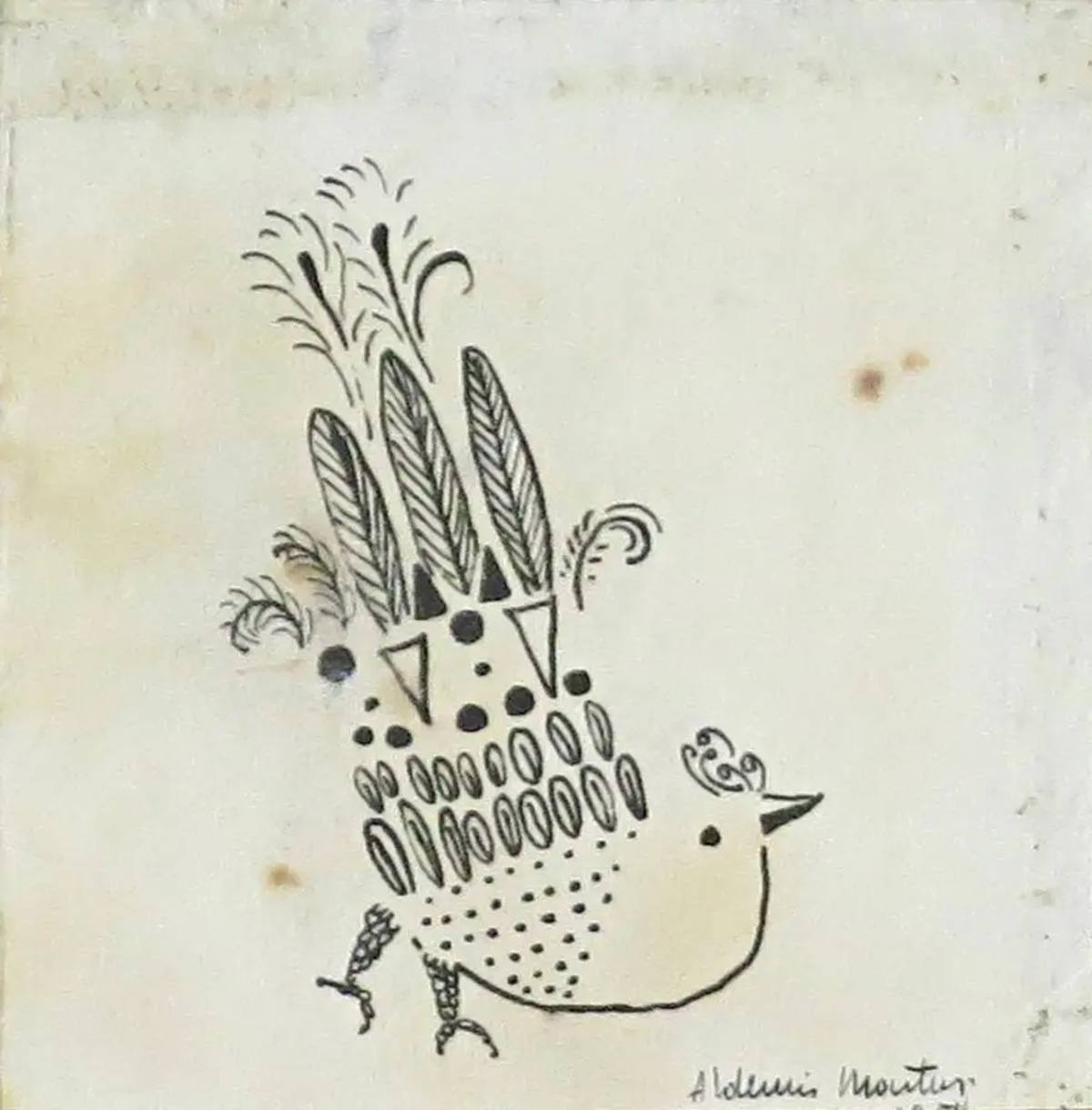 Pássaro