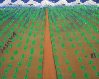 José Antônio da Silva - Plantação