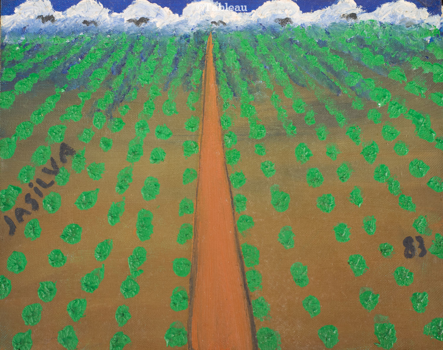 Plantação