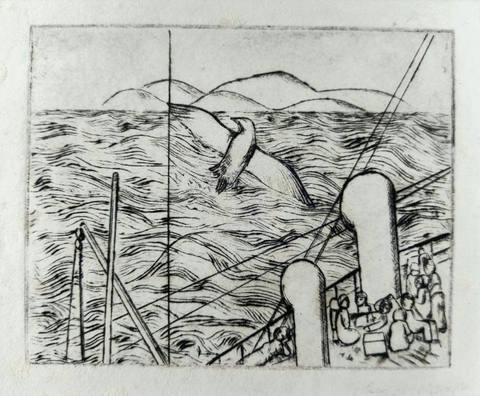 Gaivota e Mar