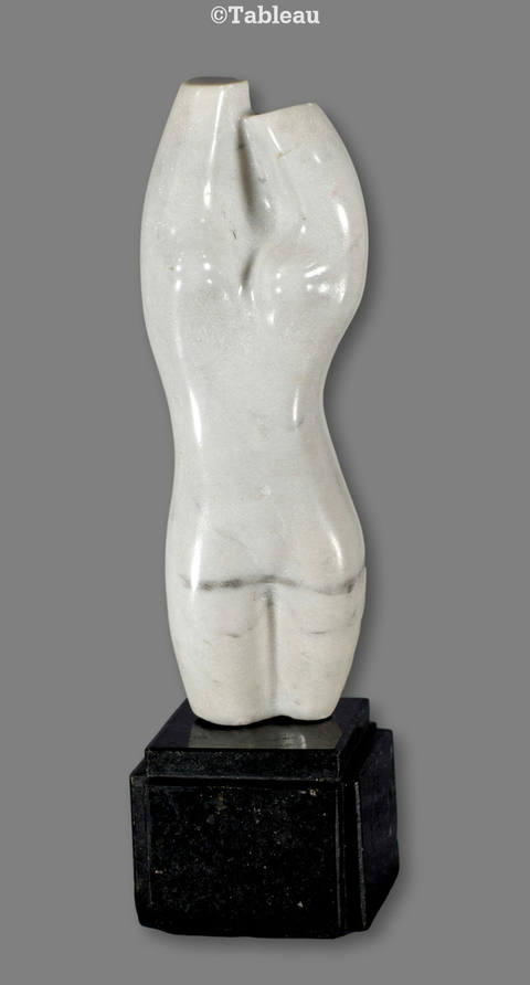 Torso