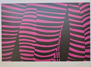 Kleber Ventura - Perna Pink