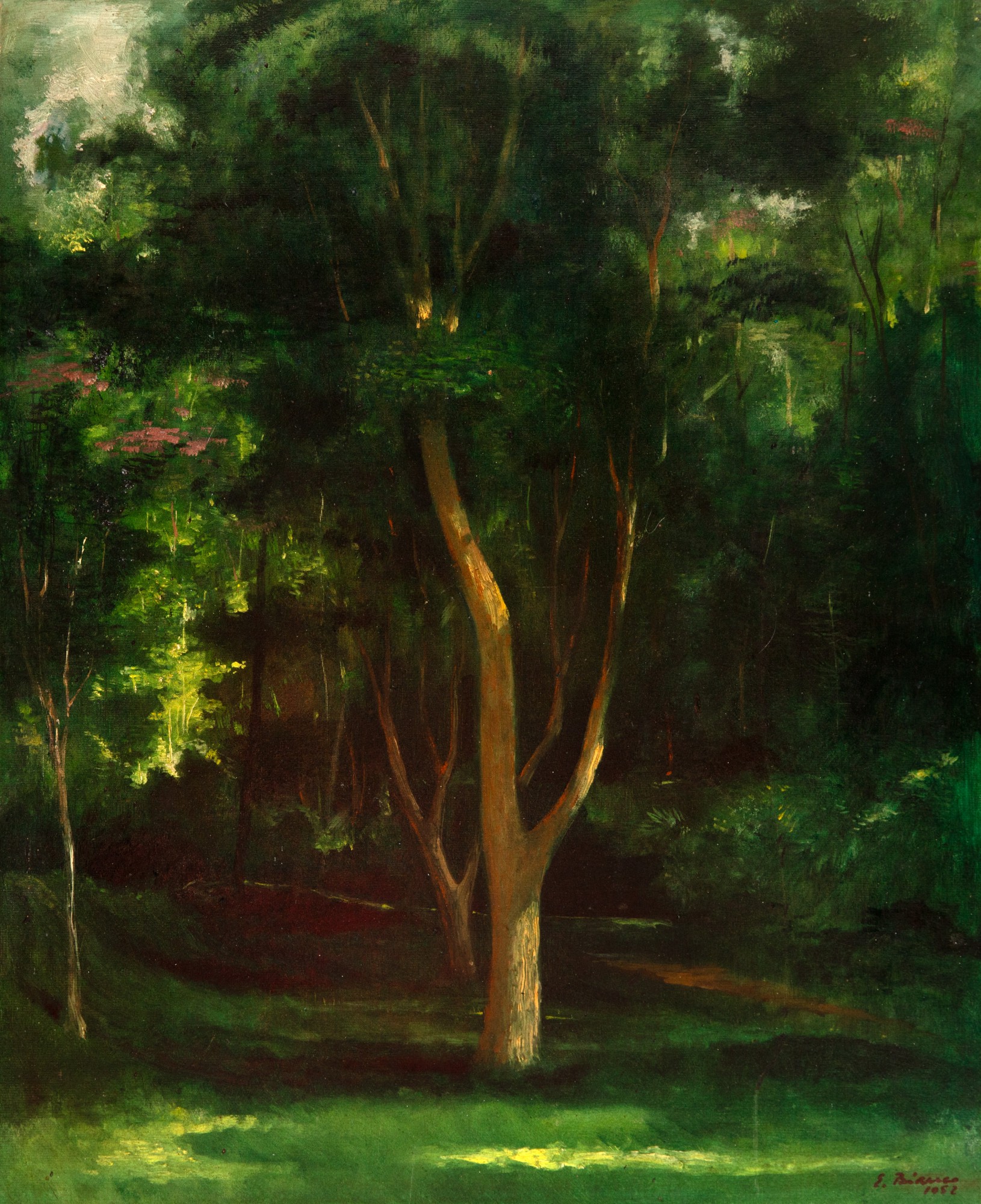 Paisagem Com Árvores