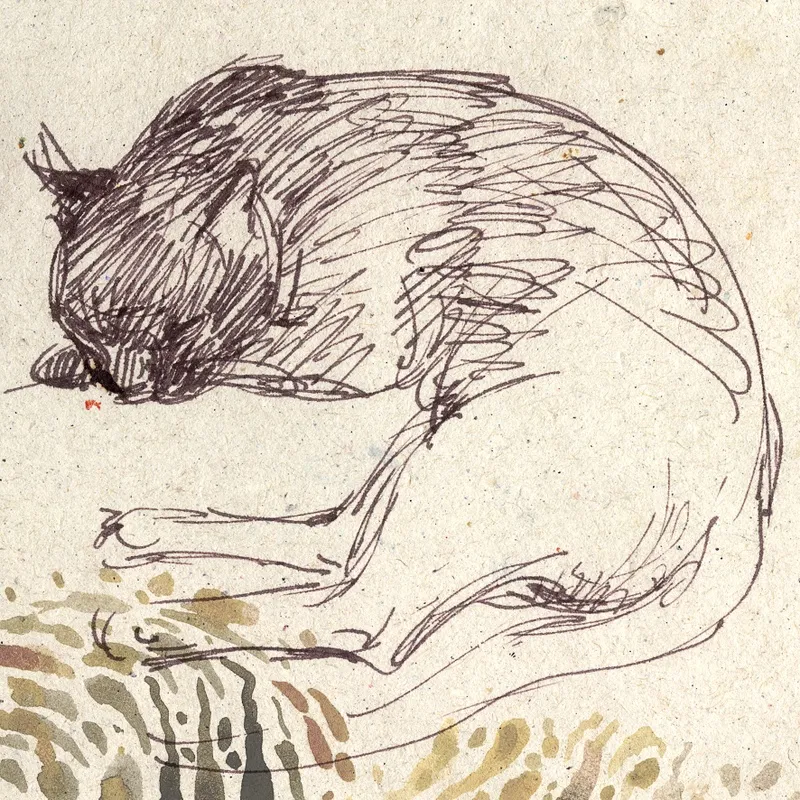 Nato Gomes - Cochilo Felino II