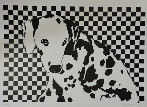 Cachorro Branco
