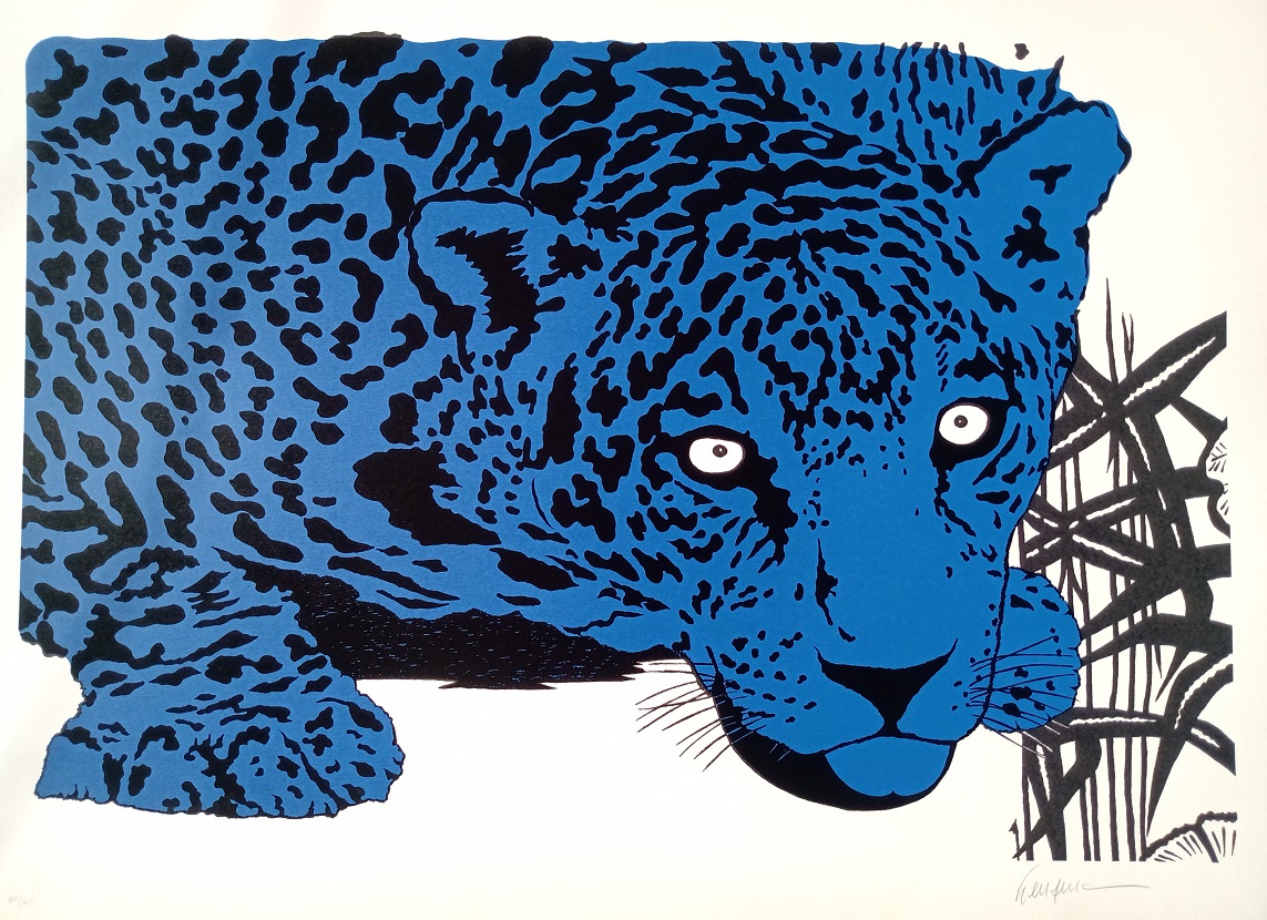 Kleber Ventura - Onça Azul