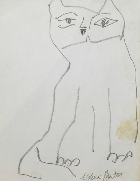 Gatos