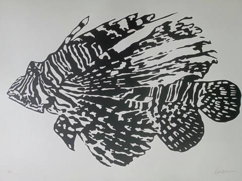 Peixe