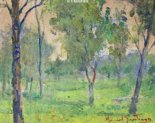 Manoel Santiago - Paisagem