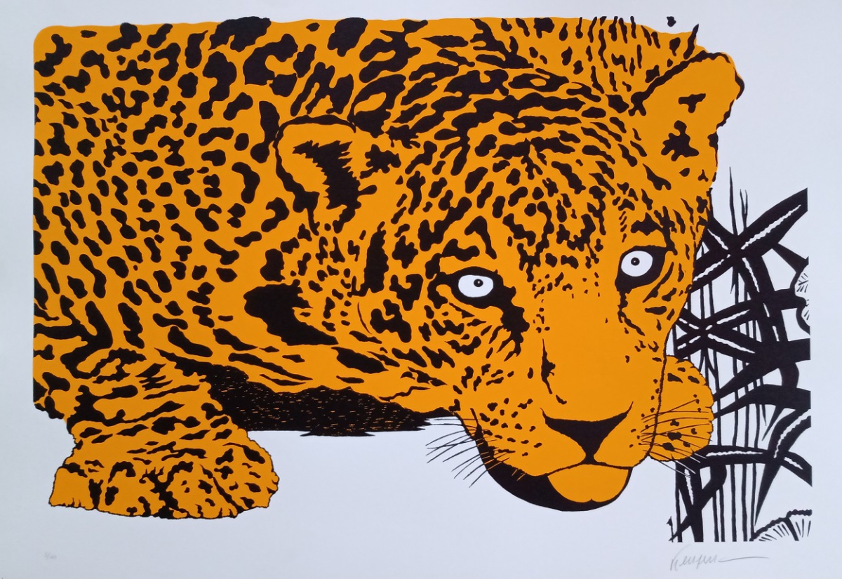 Onça amarela