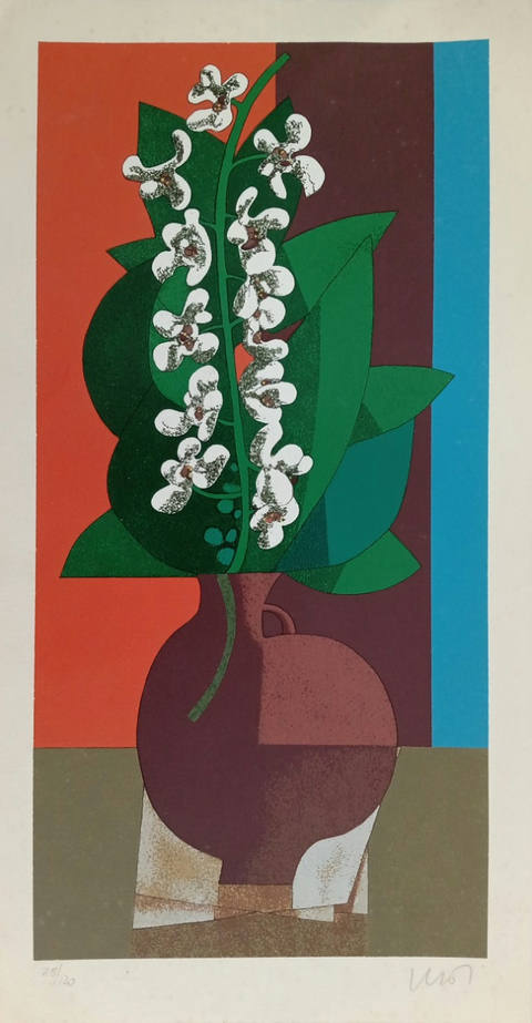 Orquídeas