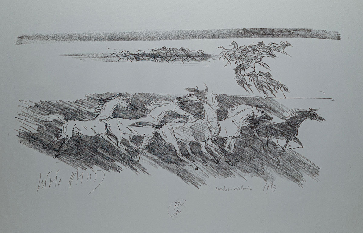 Cavalos
